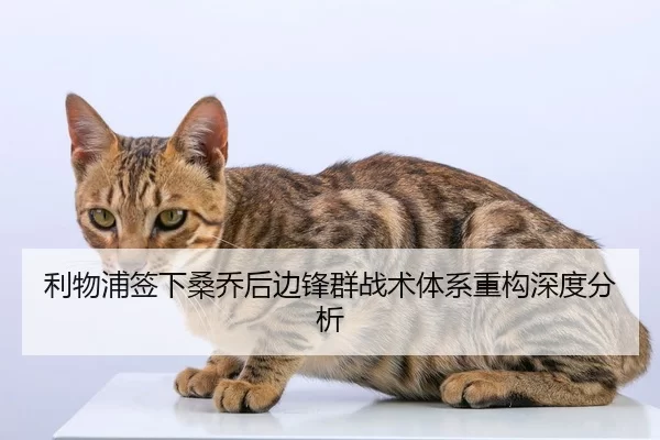 利物浦签下桑乔后边锋群战术体系重构深度分析